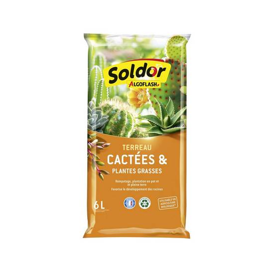 ALGOFLASH Terreau Cactées et Plantes Grasses