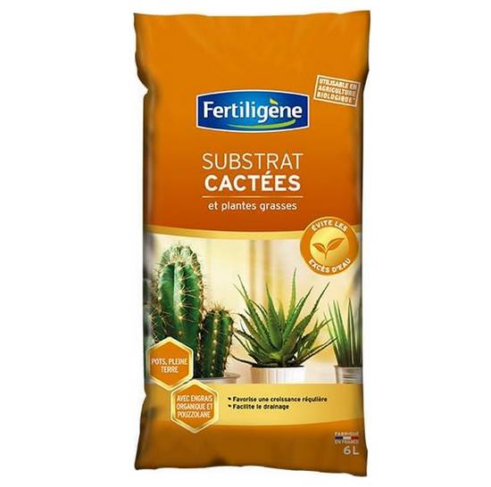 Fertiligene Substrat pour Cactées et Plantes Grasses