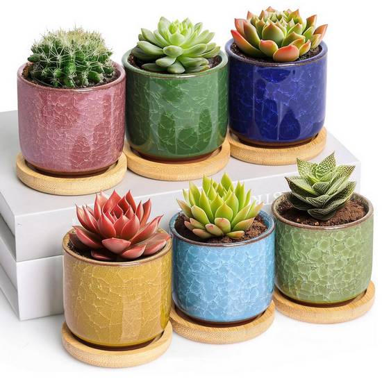 Pots en Céramique avec Plateau en Bambou