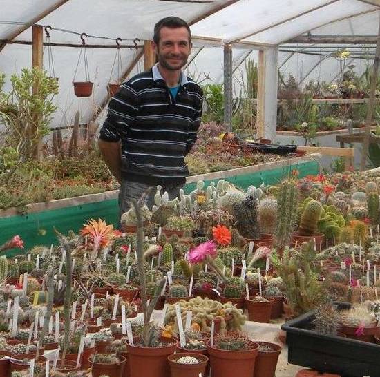 Cactus Landes