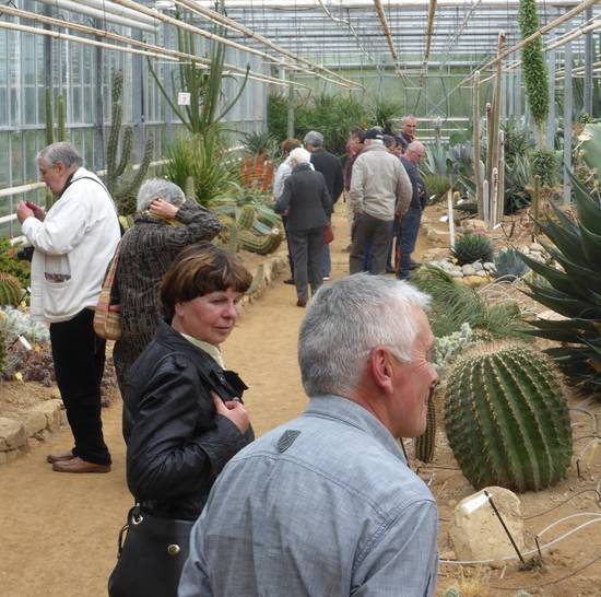 Cactuseraie de Creisméas