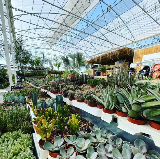 Ferme aux cactus