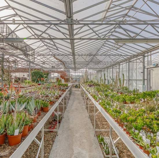 Etablissements Agricoles et Horticoles KUENTZ